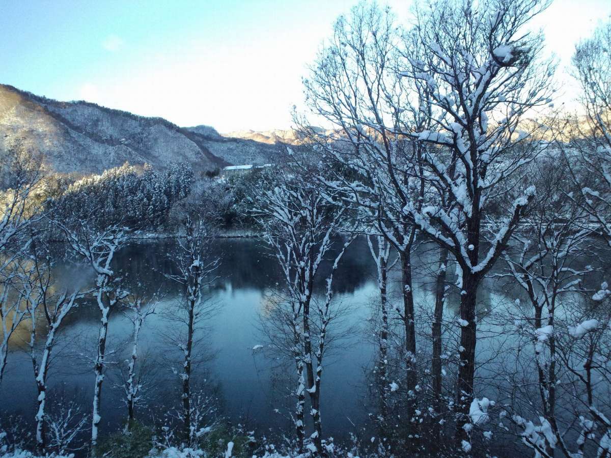 11月末～3月末にお車でお越しのお客様へ